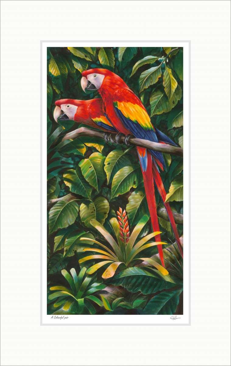 A colourful pair A colourful pair art print