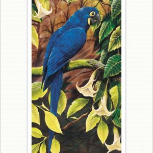 Feeling Blue art print