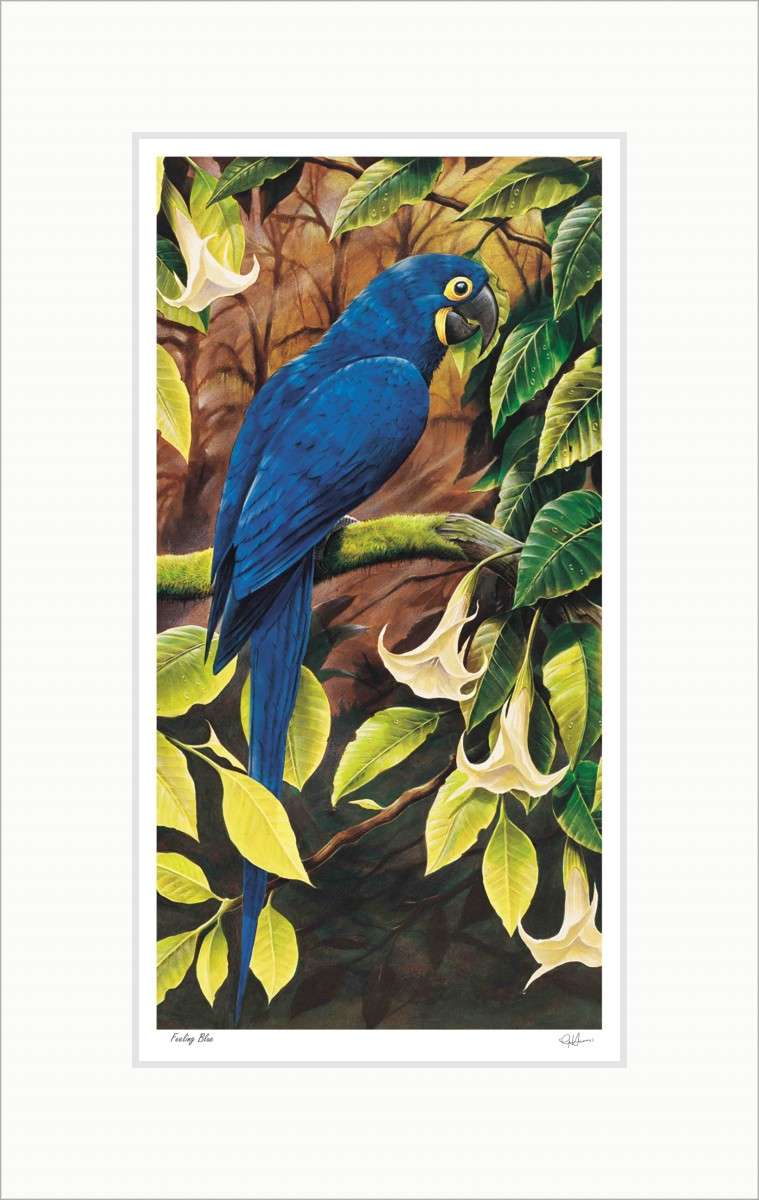 Feeling Blue art print