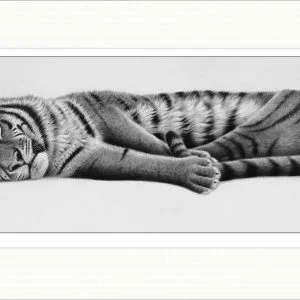 Lazy Cat by Greg Harris