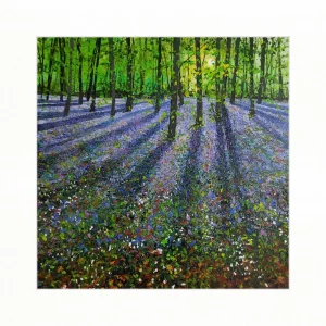The Colours of the Woodland