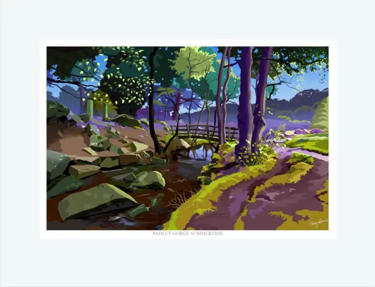 Padley Gorge - Summertime art print